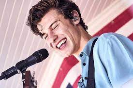 pin von mariana auf shawn shawn mendes suss