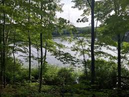 Newaygo state park facts for kids. Best Trails In Newaygo Michigan Alltrails