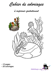 Actuellement plus de 61 000 dessins à colorier. Cahiers De Coloriage Lulu La Taupe Jeux Gratuits Pour Enfants