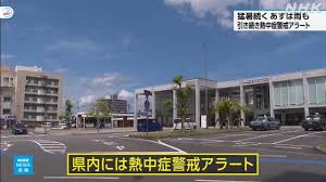 NHK - News update