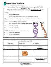 Learn about the many steps involved in protein synthesis including: Dna Vs Rna And Protein Synthesis Updated Answer Key Learn Lif Co Id