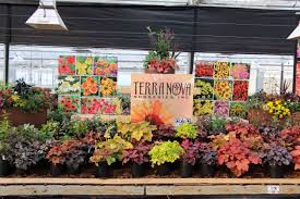 Booth Setup Plant Breeding Flower Nursery Plants