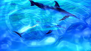Cool Live Wallpapers For Pc 1280x720 Download Hd Wallpaper Wallpapertip