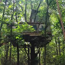 Comfort is the name of the game in this cabin. Tree House Resort Spend Your Weekend Getaway At This Unique Treehouse Resort In Oklahoma
