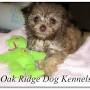 Dog Breeders in Mississippi from www.oakridgedogkennels.com