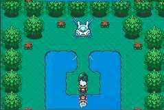 If this number matches the first two bytes of the personality value of any pokémon in . Two Secret Islands Ruby Sapphire Emerald Other Pages Pkmn Net