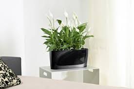 window sill planter urban zeal planters