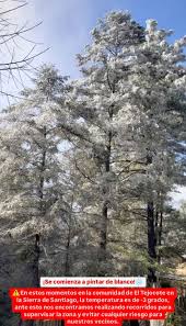 Monterrey en Imagenes