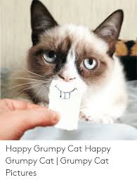 Let us know , but be sure that you are the first one to send it. Happy Grumpy Cat Happy Grumpy Cat Grumpy Cat Pictures Grumpy Cat Meme On Me Me