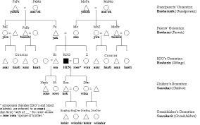 family tree template family tree template anthropology