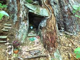We did not find results for: Fairy House Picture Of Raven Cliff Falls Helen Tripadvisor