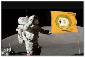 Elon musk said spacex wants to send dogecoin to the literal moon. Elon Musk Plans To Literally Send Dogecoin To The Moon Cryptonetwork News Cnwn