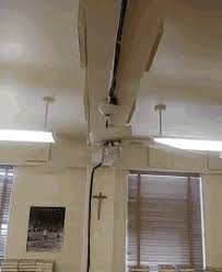 Maybe you would like to learn more about one of these? Fan Gifs Tenor