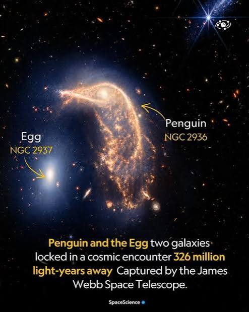 NGC 2936, also known as the "Penguin Galaxy" or "Hummingbird Galaxy," is a disrupted spiral galaxy in the constellation Hydra, located approximately 326 million light-years away from Earth. Image acquisition and processing: