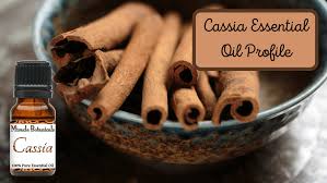 Image result for Cassia burttii