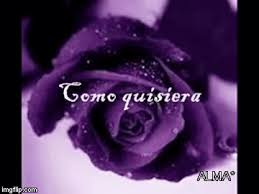 Https Encrypted Tbn0 Gstatic Com Images Q Tbn And9gctmiyxcvuwksoanilucifcuur Hsyrh73gztw Usqp Cau