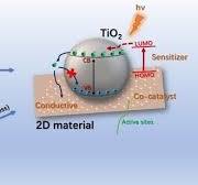 Compositing Two-Dimensional Materials with TiO2 for ...