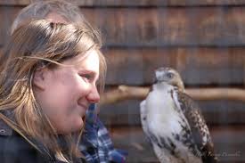 Red-Tailed Hawk Gets a New Home at The Audubon Society of RI