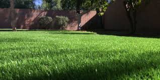 Very satisfied with the quality work jose, annie, and the artifigrass team did on the installation of some artificial grass in my backyard and pavers on my. Artificial Grass Should Be More Of A Thing In Arizona Why Isn T It