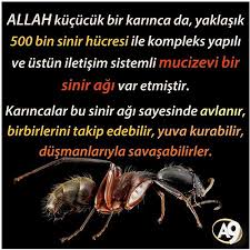 Https Www Instagram Com Bilgikupu Tv Bilgi Iletisim