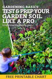Pin On Organic Gardening