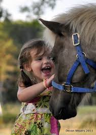 Pony Love Horses Horse Love Animals For Kids