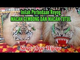 We did not find results for: Perbedaan Reyog Macan Gembong Dan Macan Tutul Youtube