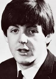 Nermin Begovic (begovicnermin11)