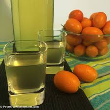 Kumquat Liqueur Kumquatcello Recipe Kumquat Liqueur Kumquats Liqueur