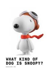 Snoopy is considered a beagle after much speculation. What Kind Of Dog Is Snoopy