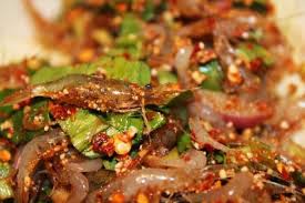 We did not find results for: Tim Hiá»ƒu Vá» Mon Goong Ten Mon Äƒn Báº¡n Chá»‰ Co Thá»ƒ ThÆ°á»Ÿng Thá»©c Tren Ä'áº¥t Thai Cáº©m Nang Du Lá»‹ch Chau A Weird Food Raw Beef Food