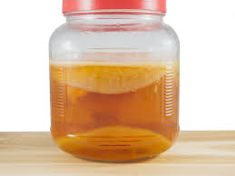 How To Tell If You Have A Healthy Scoby Countryside