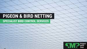 Check spelling or type a new query. Pigeon Netting London Specialist Bird Netting Services