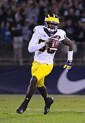 Devin Gardner
