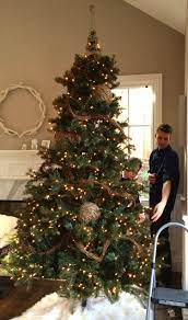 A Pottery Barn Christmas Tree With All The Trimmings Pottery Barn Christmas Tree Pottery Barn Christmas Antler Christmas Tree
