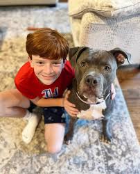 Misty, Pumpkin, Silas, Winnie,...