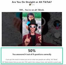 Alt Tiktok Quiz Find What Type Of Tiktoker You Are Ava S