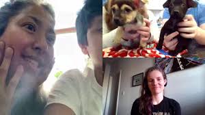Safe haven puppy rescue petfinder. How To Adopt Your Next Pet Safely And Virtually The Verge