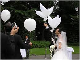Weisse Bio Tauben Ballons Luftballon Hochzeit Heirat 100 Biologisch Abbaubar Mit Bildern Luftballons Hochzeit Ballons Hochzeit Hochzeit