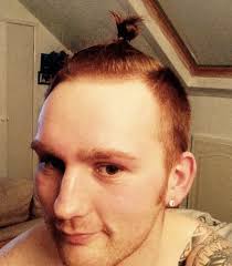 There are haircuts and then there are ridiculous haircuts which women will crucify you for. How To Get A Man Bun Hairstyle Guide Man Bun Hairstyle