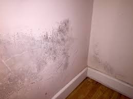 Identifying what is causing damp in your ceiling. Mould On Bedroom Wall Mumsnet