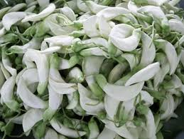 Pohon turi juga memiliki bunga atau biasa disebut kembang turi yang sering diolah masyarakat menjadi berbagai macam menu masakan, seperti lalapan, pecel, hingga aneka tumisan. 5 Manfaat Kembang Turi Untuk Kesehatan Tubuh Kumparan Com