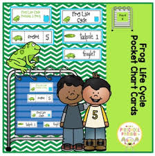 Frog Life Cycle Pocket Chart Cards