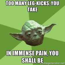 Yoda Knows Muay Thai Haha Martial Arts Humor Yoda Meme Star Wars Memes Yoda Speak