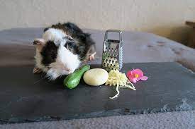According to sf gate, you can tell if it is off if the skin is dull and if there are spots. Can Guinea Pigs Eat Zucchini Squash What You Need To Know Pet Keen