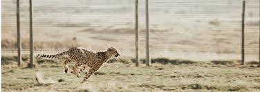 Camel is an apache software foundation project with numerous contributors. Comparing Api Gateway Performances Nginx Vs Zuul Vs Spring Cloud Gateway Vs Linkerd By Turgay Celik Opsgenie Engineering