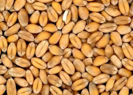 Le vitamine sono delle sostanze contenute negli alimenti che, insieme ai minerali, rientrano nel gruppo dei micronutrienti, sostanze di cui l'organismo inoltre ogni vitamina è contenuta in un particolare alimento o gruppo di alimenti e, per ognuna di esse, vi sono i larn (livelli di assunzione di. Cibi Con Vitamina E Contro I Radicali Liberi