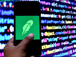 The everyday investor should play a bigger role in the ipo market. What To Know About Robinhood Ipo Date Pricing Risk Factors