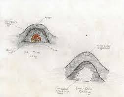 Image result for Poecilostachys oplismenoides