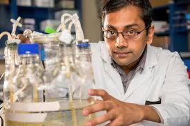 Climate change raises the risk from failing sewage systems. So Catherine  Coleman Flowers is working for a new way to deal with waste.